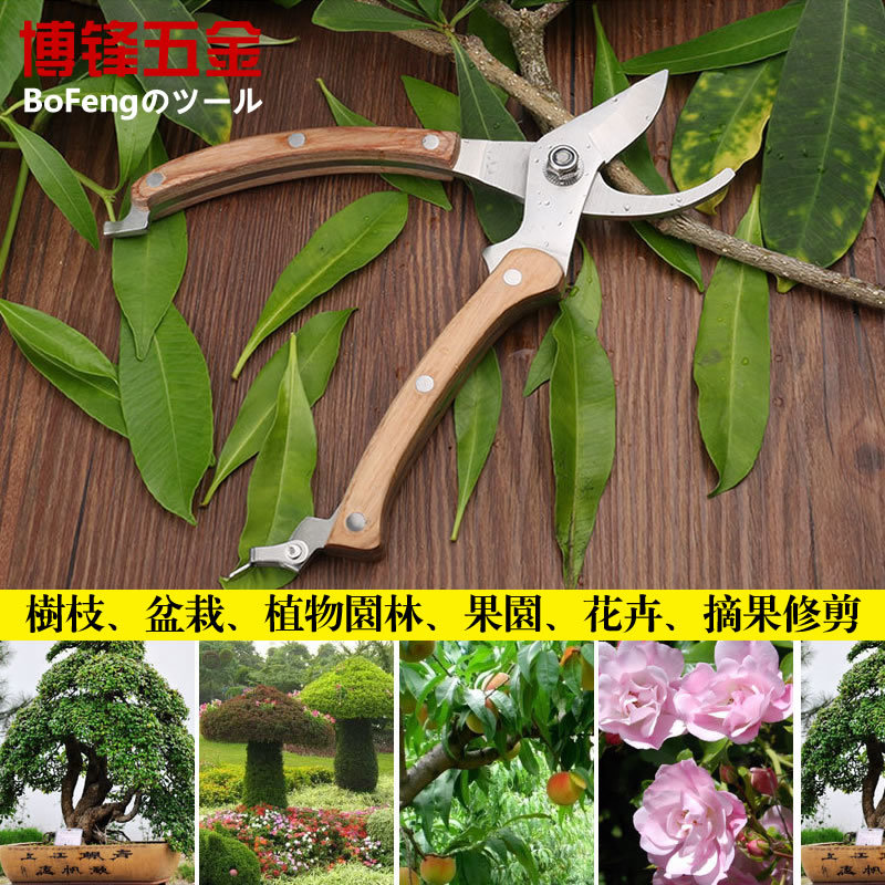 德国进口钢省力修枝剪树枝修花剪刀粗枝剪园艺工具果树剪