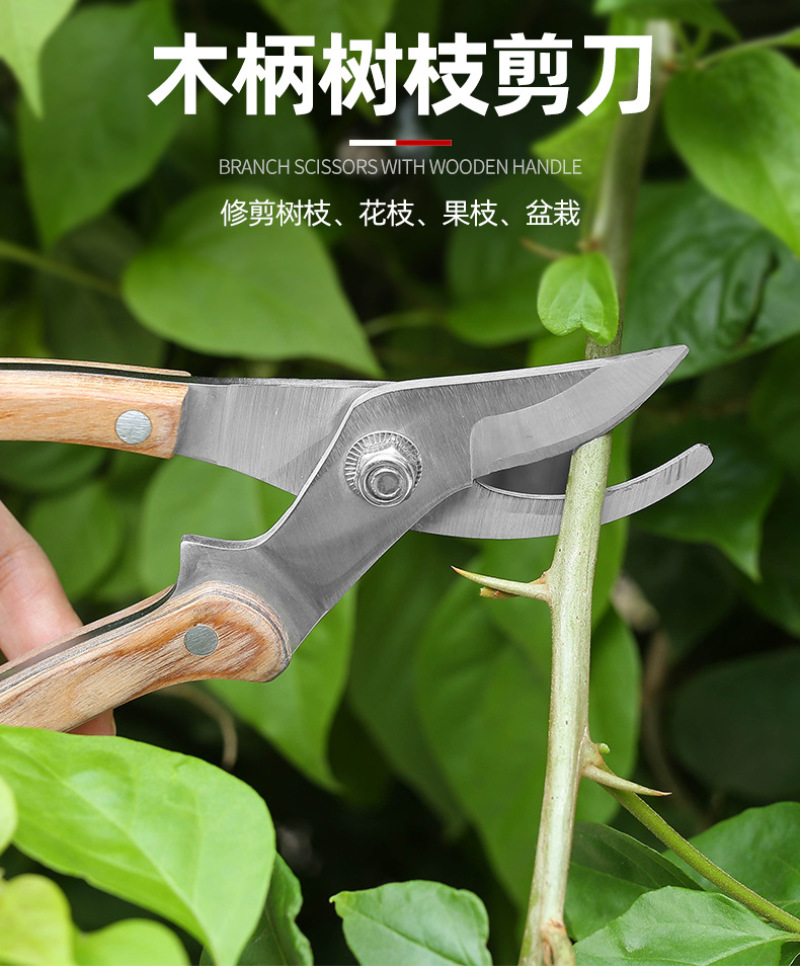 德国进口钢省力修枝剪树枝修花剪刀粗枝剪园艺工具果树剪