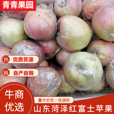 山东苹果红富士苹果自家果园生态种植口感纯甜欢迎详谈