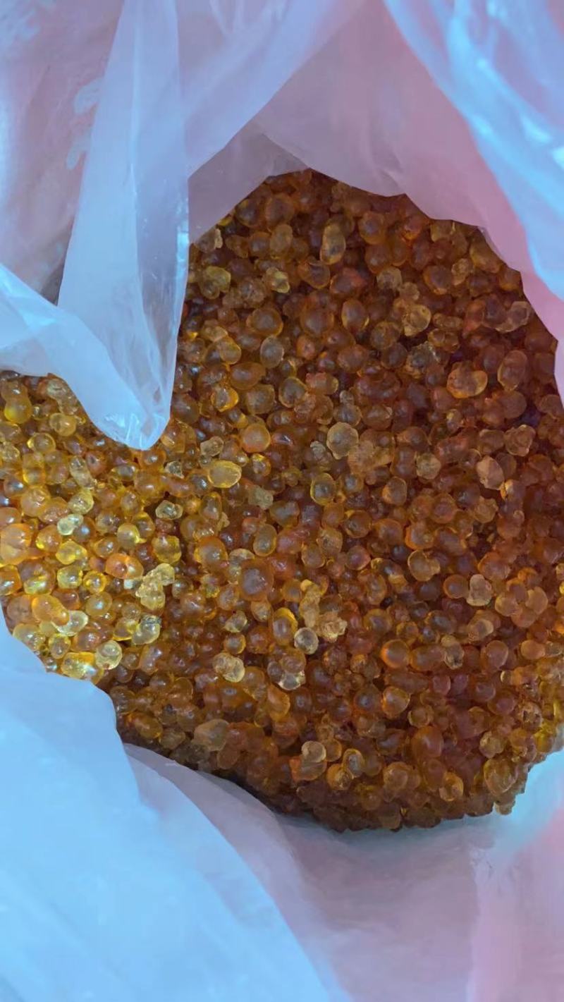 精品纯黄纯颗粒珍珠桃胶小颗粒桃胶桃胶野生可视频看货
