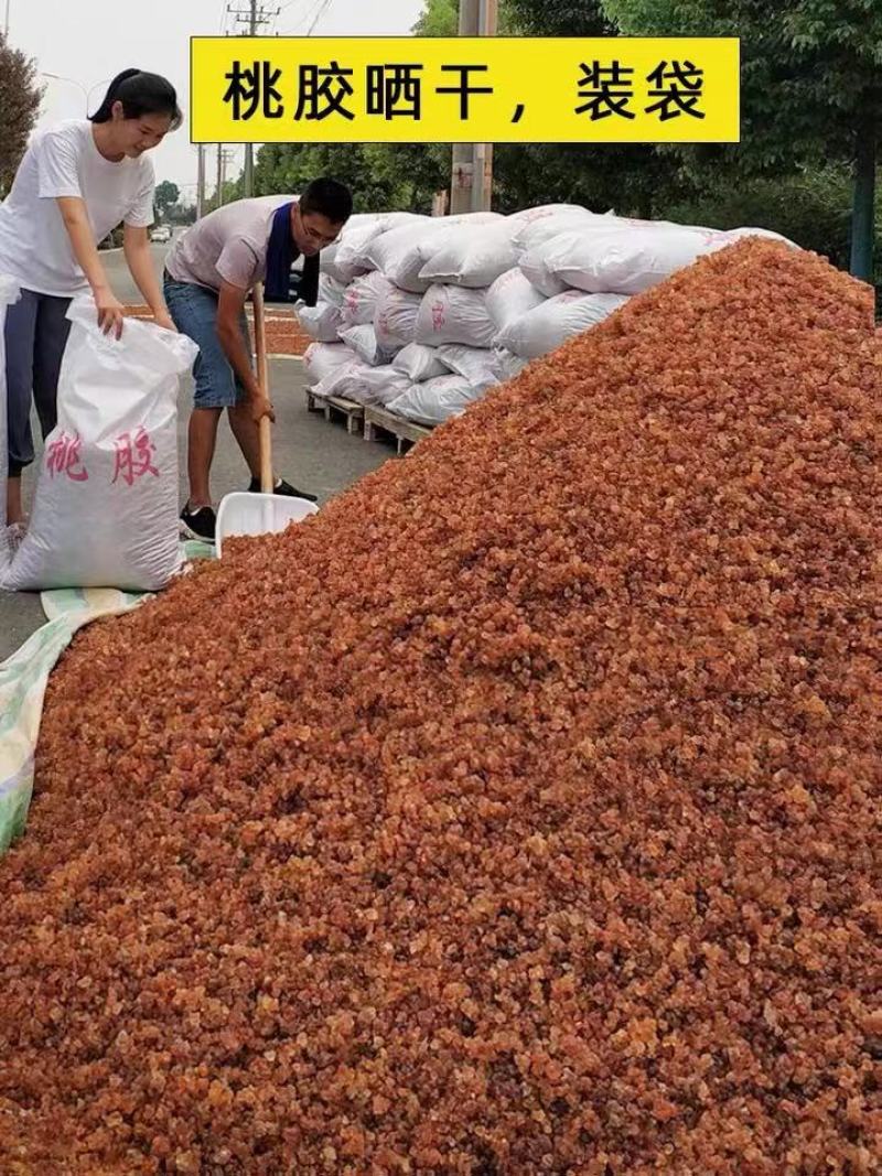 水洗桃胶野生桃胶，无杂质，免清理，不浪费快递包邮