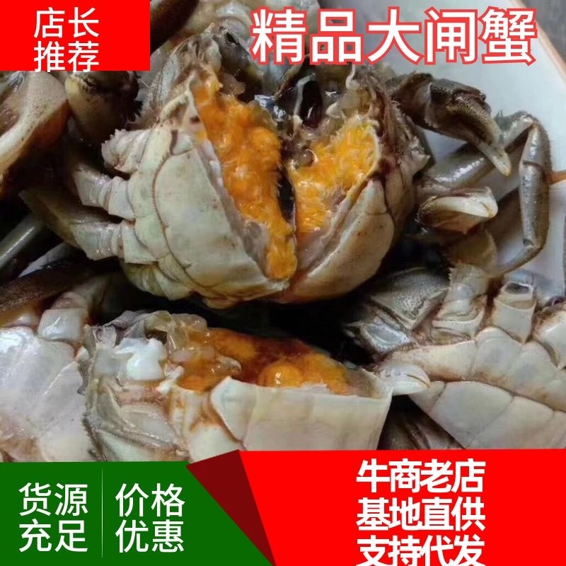 优质大闸蟹，洪湖清水蟹满膏满黄，一手货源，大量批发