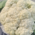 《精选》有机花菜松花菜，全国发货，量大从优价格合理