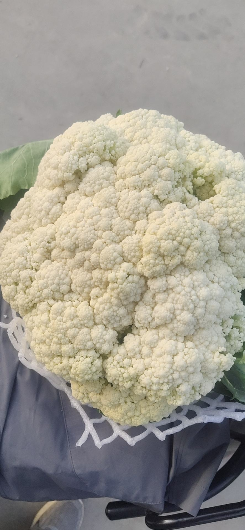 《精选》有机花菜松花菜，全国发货，量大从优价格合理