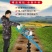 大功率单人小型汽油果园施肥钻地打桩种植栽树手推式打洞挖坑