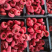 优质柿饼，质量保证，商超品质，农家价格欢迎咨询