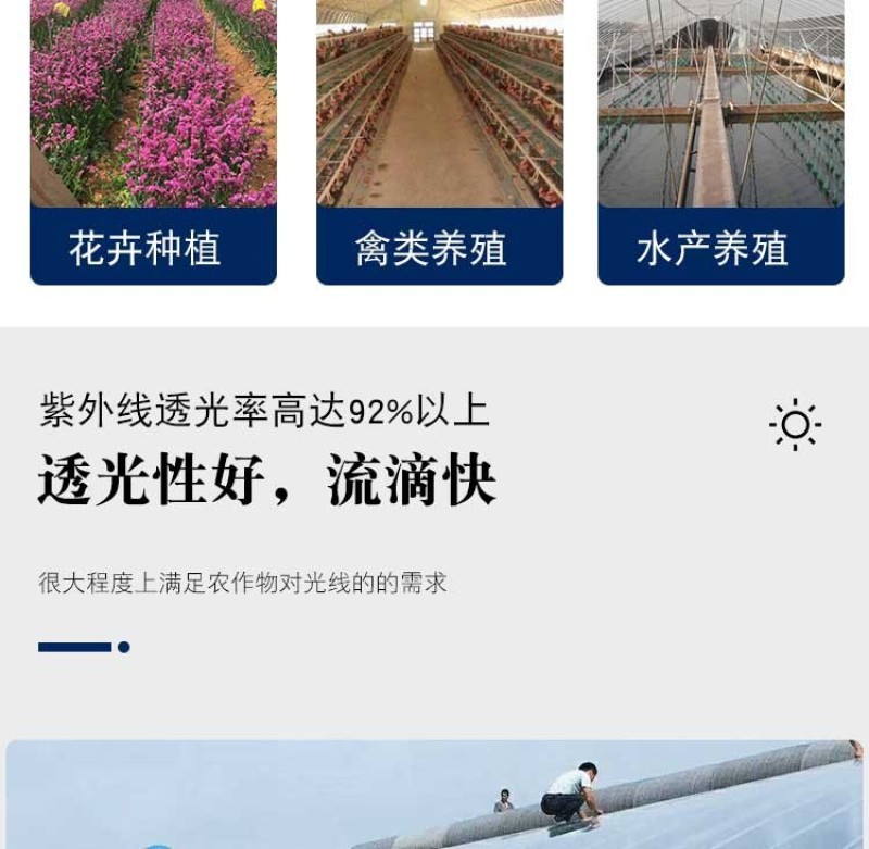 抗老化大棚膜蓝色无滴膜塑料布透明加厚长寿塑料薄膜农用养殖