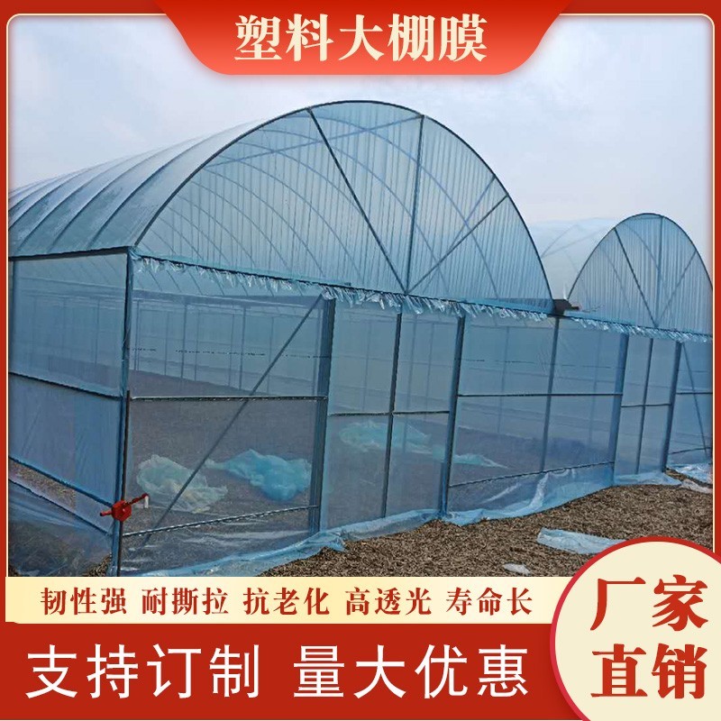 抗老化大棚膜蓝色无滴膜塑料布透明加厚长寿塑料薄膜农用养殖
