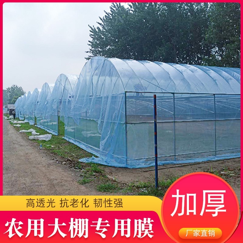 抗老化大棚膜蓝色无滴膜塑料布透明加厚长寿塑料薄膜农用养殖