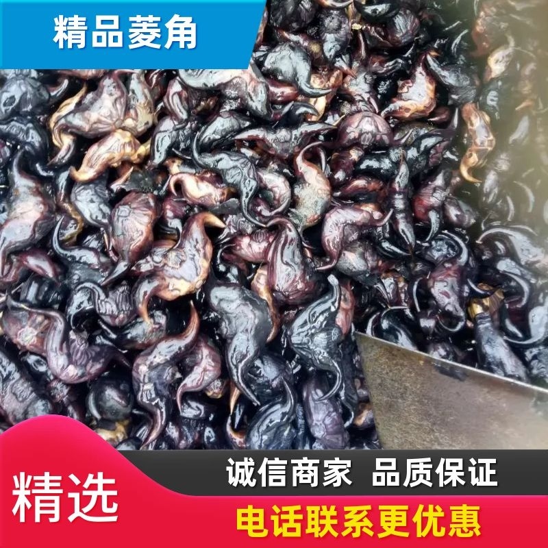 脱皮菱角大小青菱牛角菱两角菱老菱角湖北黄冈蕲春