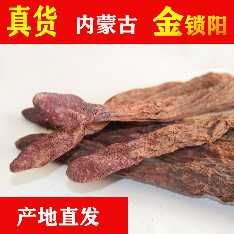 锁阳生锁阳内蒙古锁阳甘肃锁阳肉苁蓉批发
