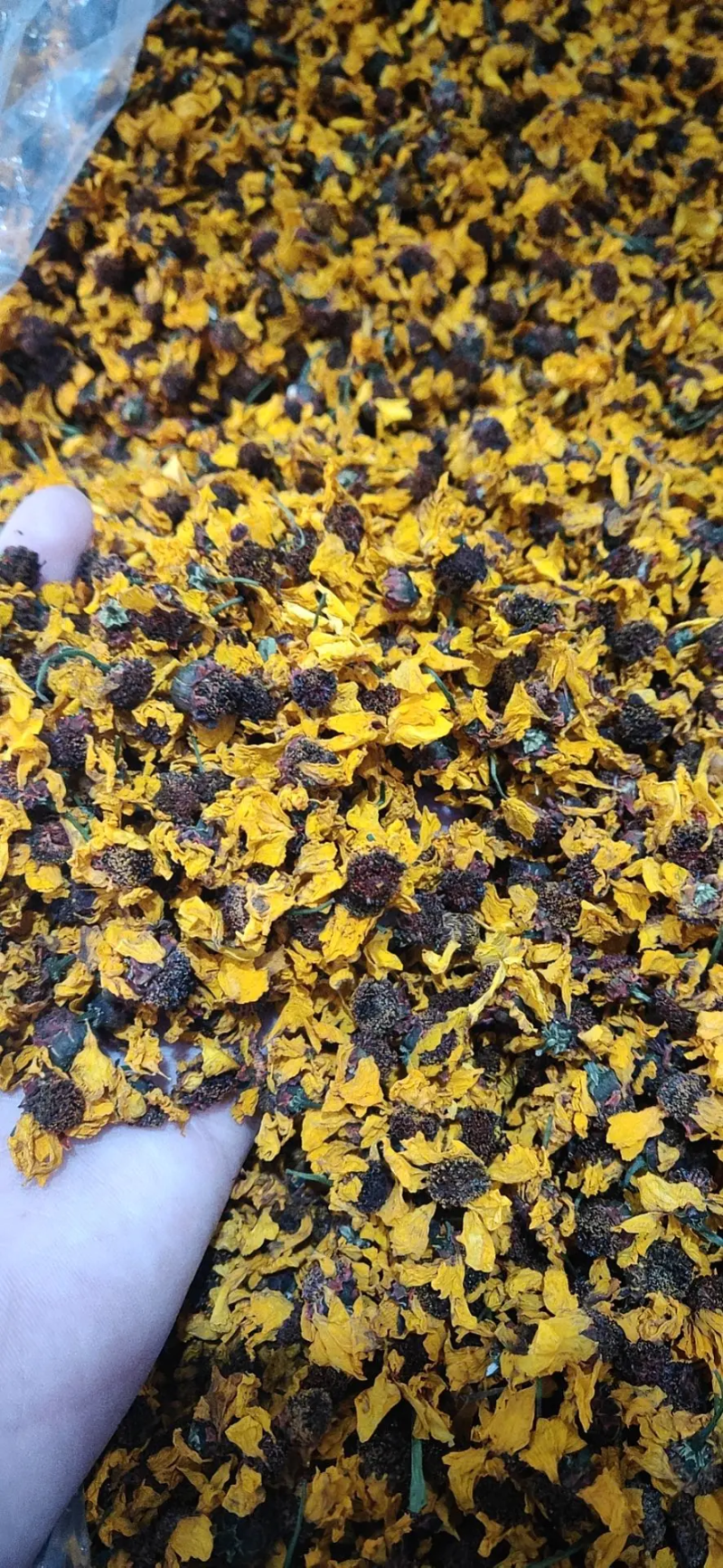 昆仑雪菊特级野生雪菊花茶清热去火，货源稳定，价格实惠