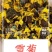 昆仑雪菊特级野生雪菊花茶清热去火，货源稳定，价格实惠