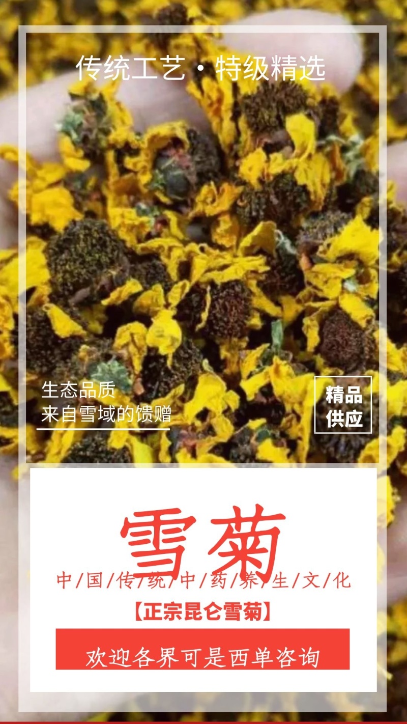 昆仑雪菊特级野生雪菊花茶清热去火，货源稳定，价格实惠