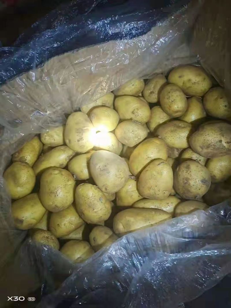 【推荐】山东土豆品类规格齐全量大质优一手货源可视频看货