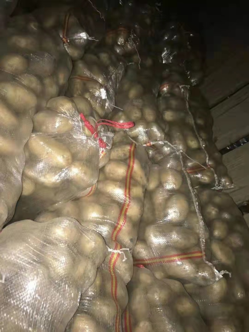 【推荐】山东土豆品类规格齐全量大质优一手货源可视频看货