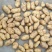 【推荐】山东土豆品类规格齐全量大质优一手货源可视频看货