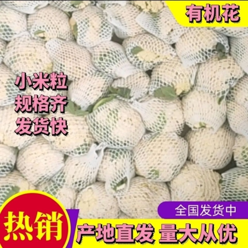 花菜，河北有机花菜，商超品质，产地直发，全国发货
