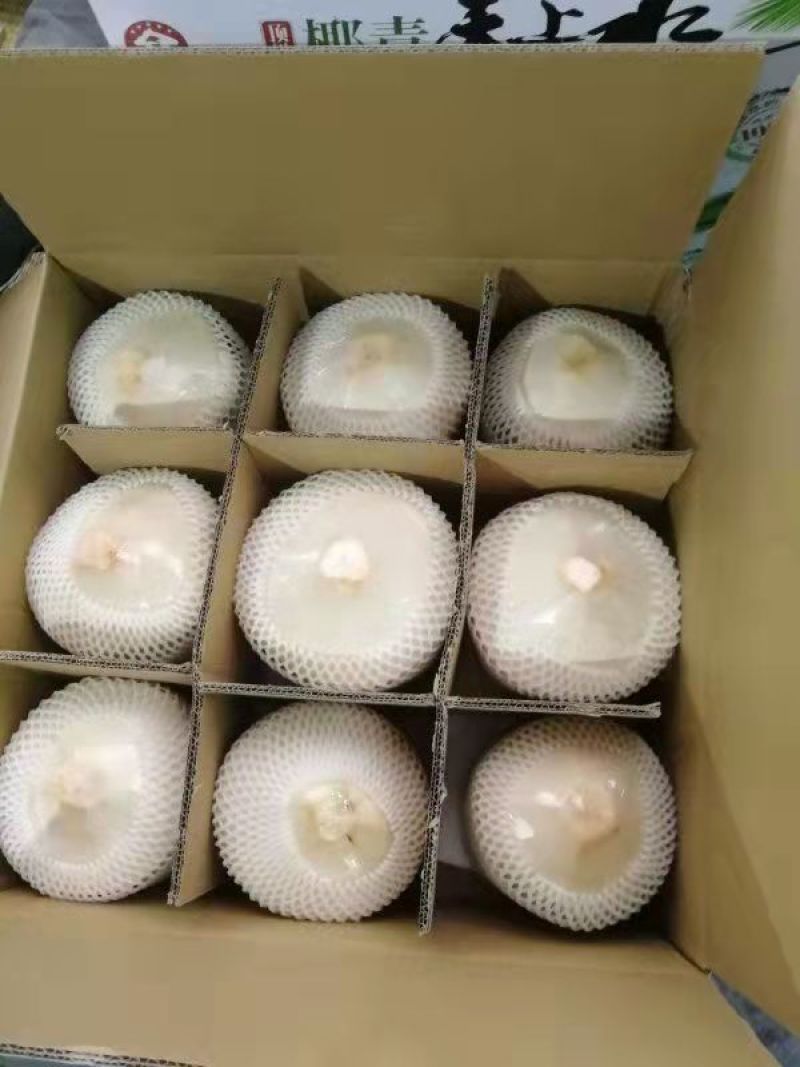 海南文昌椰子，厂家一手货源，欢迎选购，产地直销，货源稳定