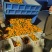 【精品】精品蜜橘沙土种植细皮嫩肉纯甜无渣欢迎咨询