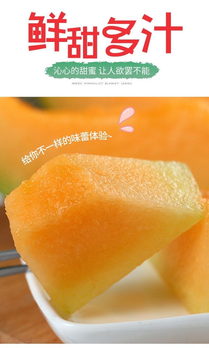 海南省哈密瓜晓蜜25号新鲜上市量大从优欢迎选购