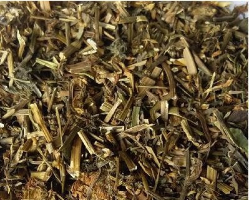 苜蓿草野苜蓿草中药材苜蓿草紫苜蓿紫花苜蓿