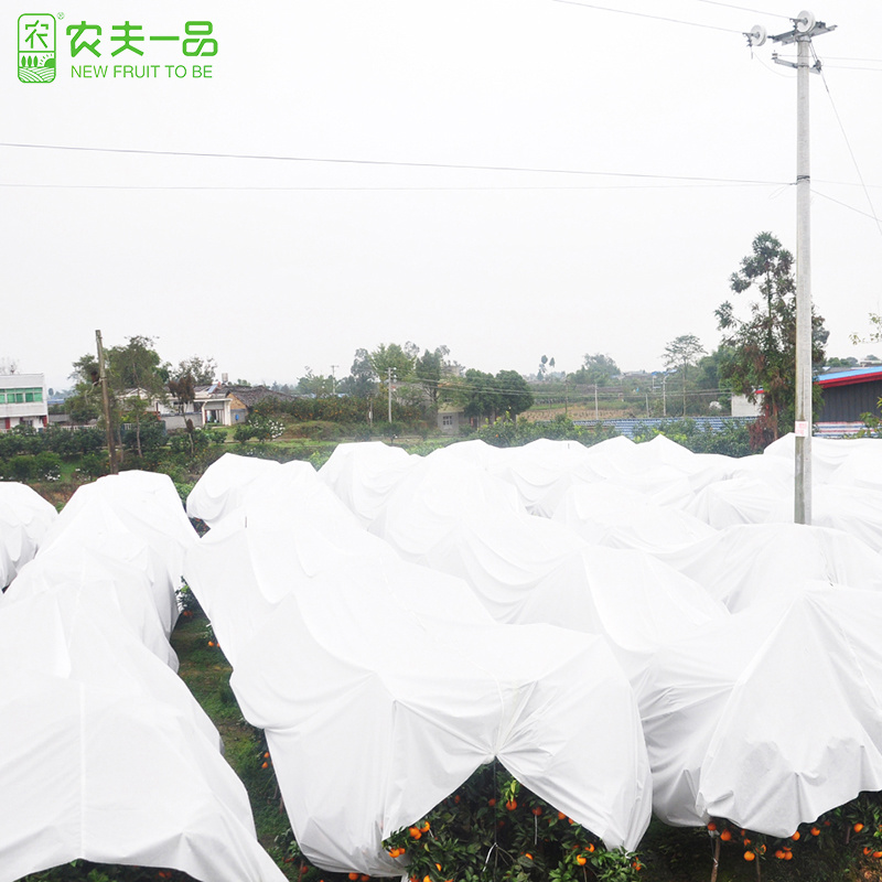 柑橘果园防霜冻保温防寒布便携免搭农用透气透茶园防冻布