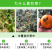 柑橘果园防霜冻保温防寒布便携免搭农用透气透茶园防冻布