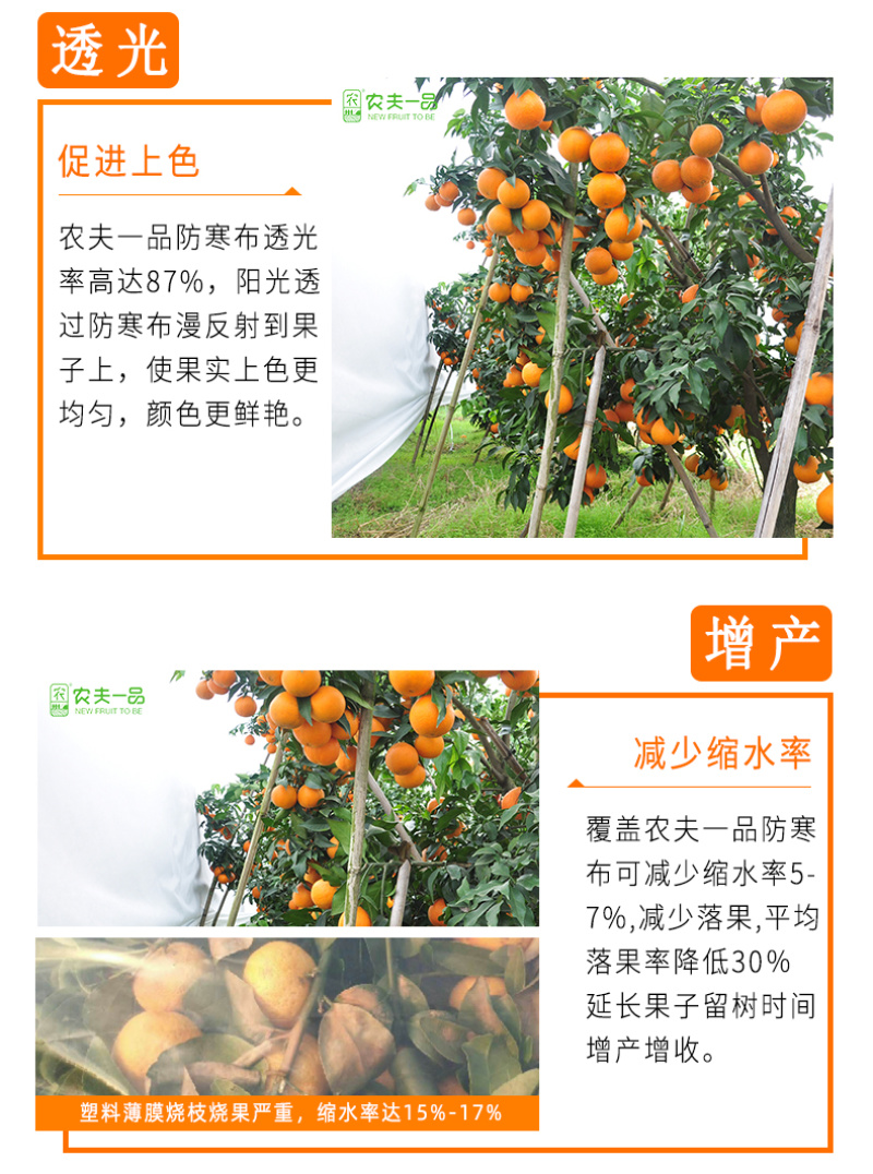 柑橘果园防霜冻保温防寒布便携免搭农用透气透茶园防冻布