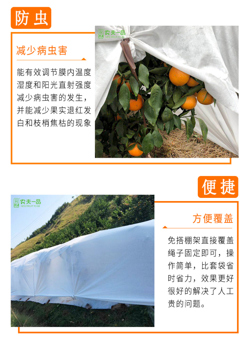 柑橘果园防霜冻保温防寒布便携免搭农用透气透茶园防冻布
