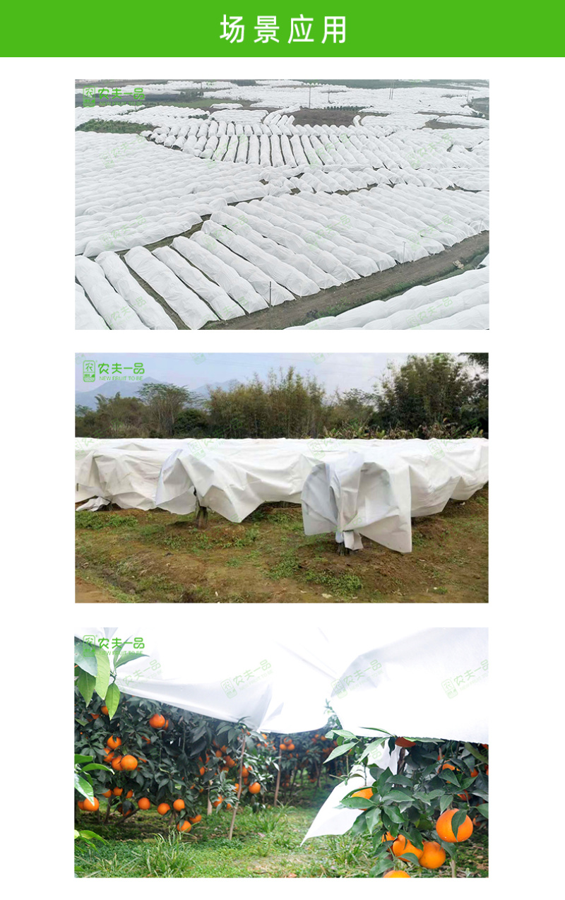柑橘果园防霜冻保温防寒布便携免搭农用透气透茶园防冻布