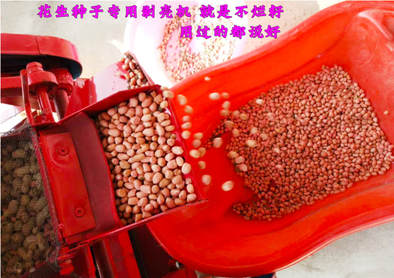 花生种子脱壳机不伤红皮种子去皮剥壳机电动长生果去壳机