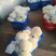 松花菜湖北菜花货量充足价格真实市场直供视频看货