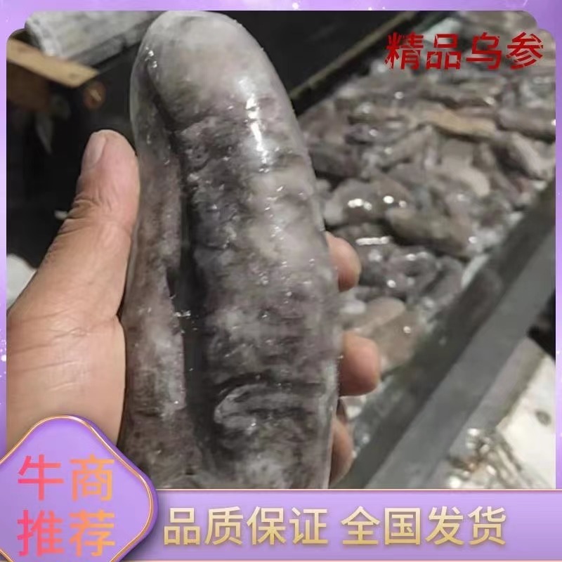 深海大乌参，自然冰整只、乌参残参、乌参切段、乌参丝