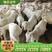 湖羊羊羔种母羊批发多胎多产质量优等享养殖补助
