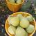 三十年老树沙田柚，甜度高产地果园直发货源充足