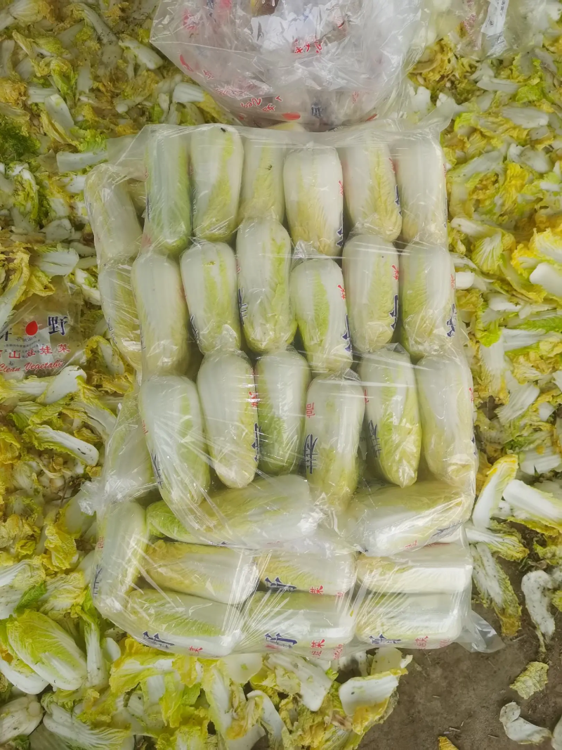 精品娃娃菜，基地新鲜采摘，保质保量发货，欢迎下单咨询