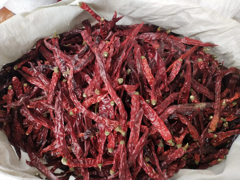 贵州特产香辣二荆条直皮干辣椒批发调味香辛料散装批发