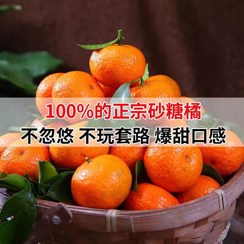 广西砂糖橘，果皮亮，质优价廉，货源充足，品质保障