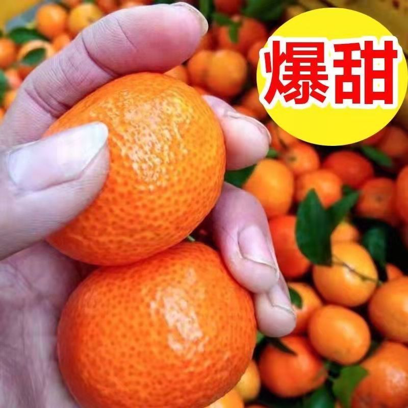 广西砂糖橘，果皮亮，质优价廉，货源充足，品质保障