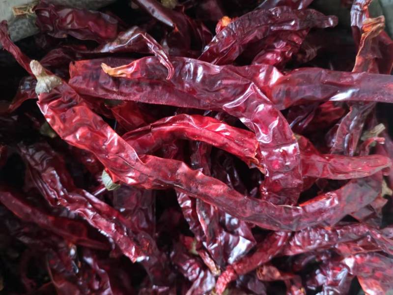 贵州特产香辣二荆条直皮干辣椒批发调味香辛料散装批发