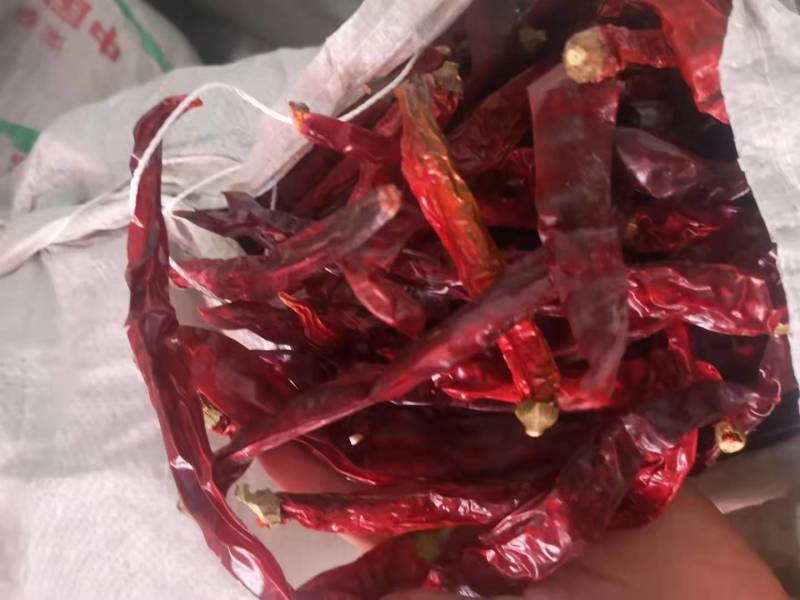 贵州特产香辣二荆条直皮干辣椒批发调味香辛料散装批发