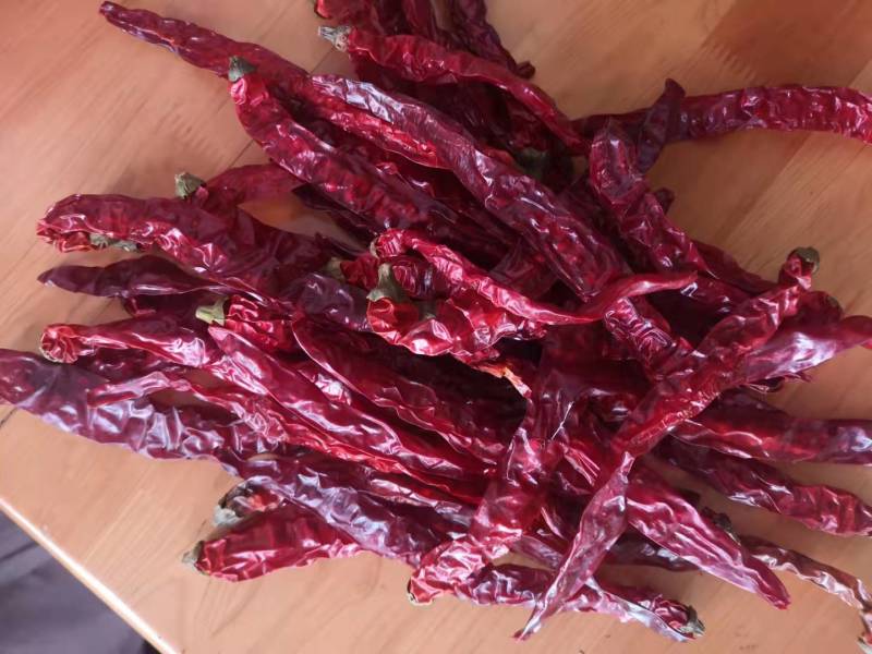 贵州特产香辣二荆条直皮干辣椒批发调味香辛料散装批发