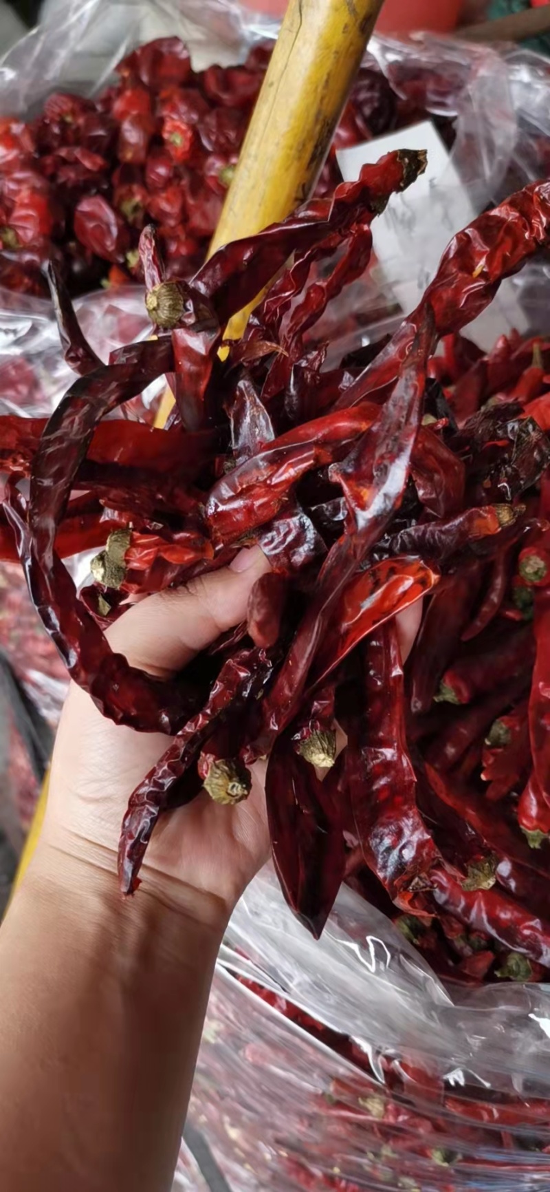 贵州特产香辣二荆条直皮干辣椒批发调味香辛料散装批发