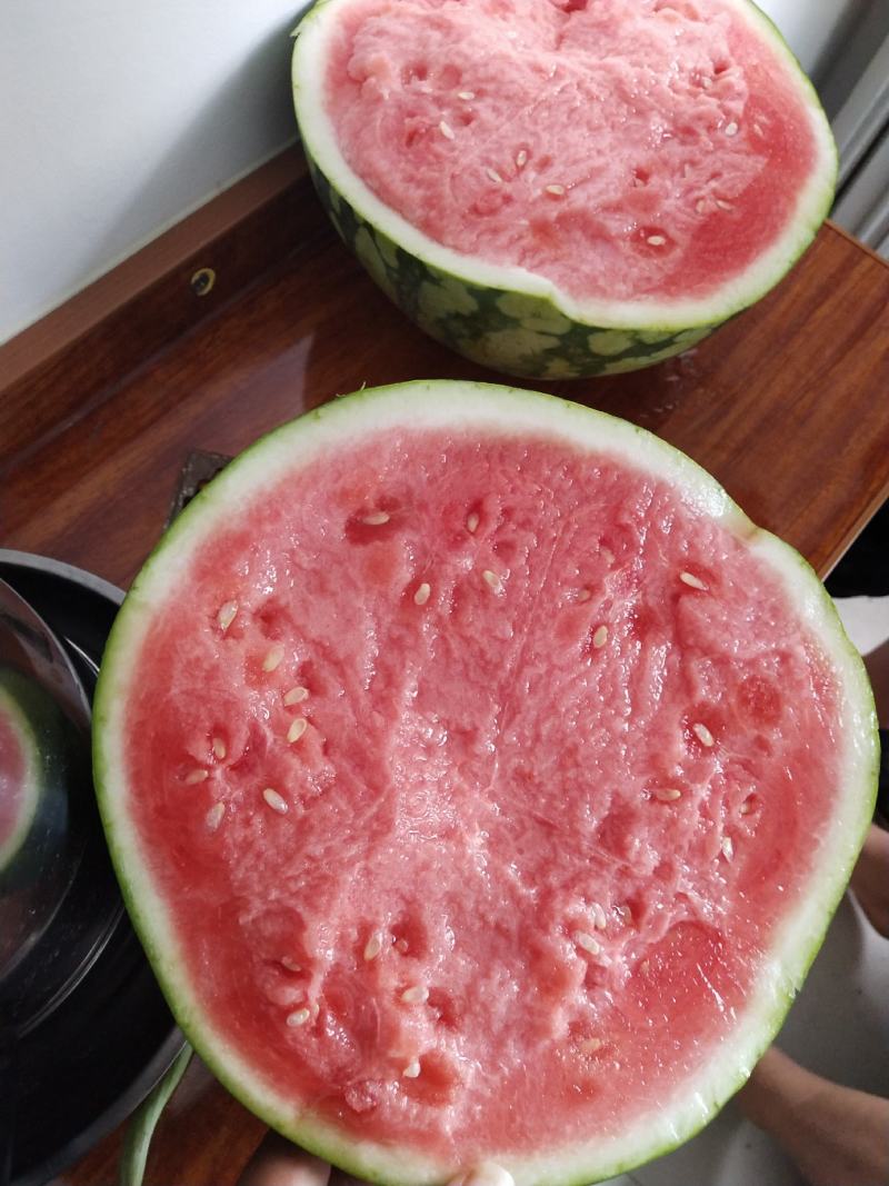 【荐】精品美都西瓜大量供应产地直销甜度高欢迎咨询