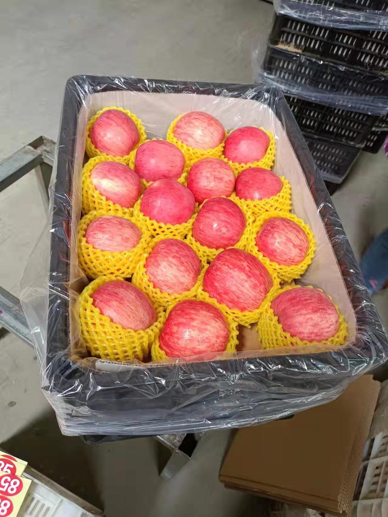 【一件代发】临汾红富士苹果10斤装水果新鲜脆甜