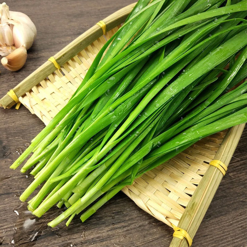 韭菜寿光韭菜大量上市，新鲜，现割现发，嫩，质量有保障