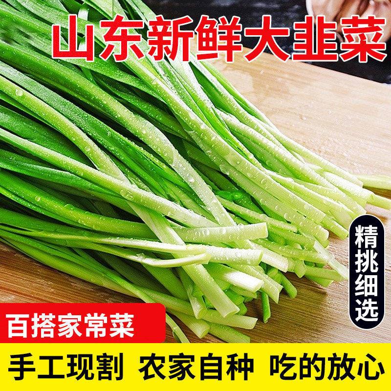 电商微商专供，山东寿光韭菜，新鲜，现割，嫩