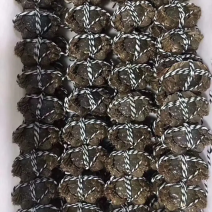 洪泽湖大闸蟹千亩货源便宜直售鲜货现发可视频看货