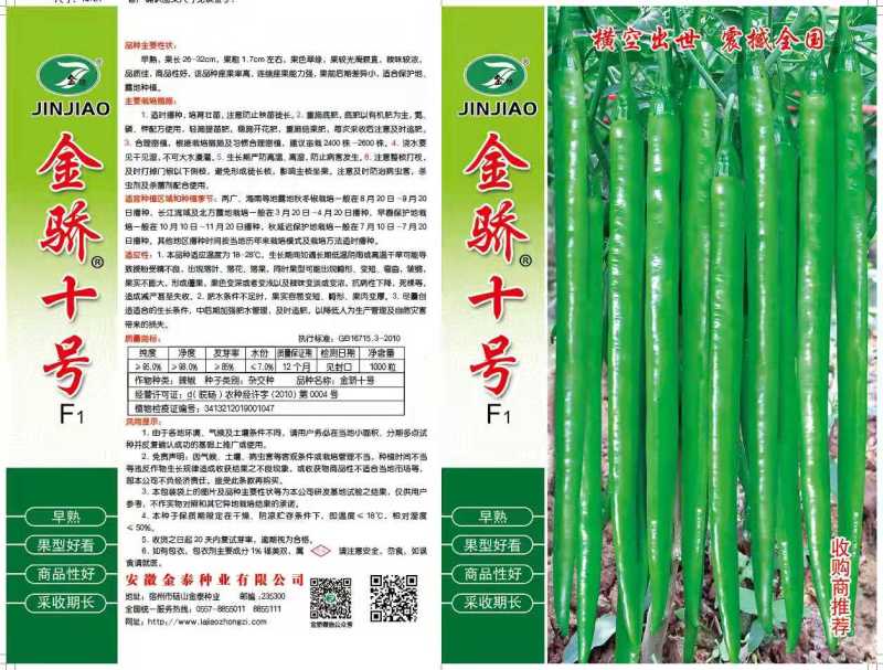 【金骄九号】薄皮精品线椒种子辣椒种子8号椒基地供货